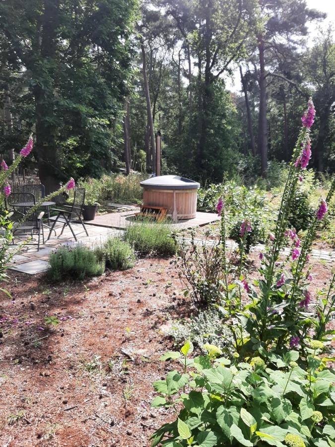 Vakantiehuis Met Hottub En Barrelsauna Ommen Luaran gambar