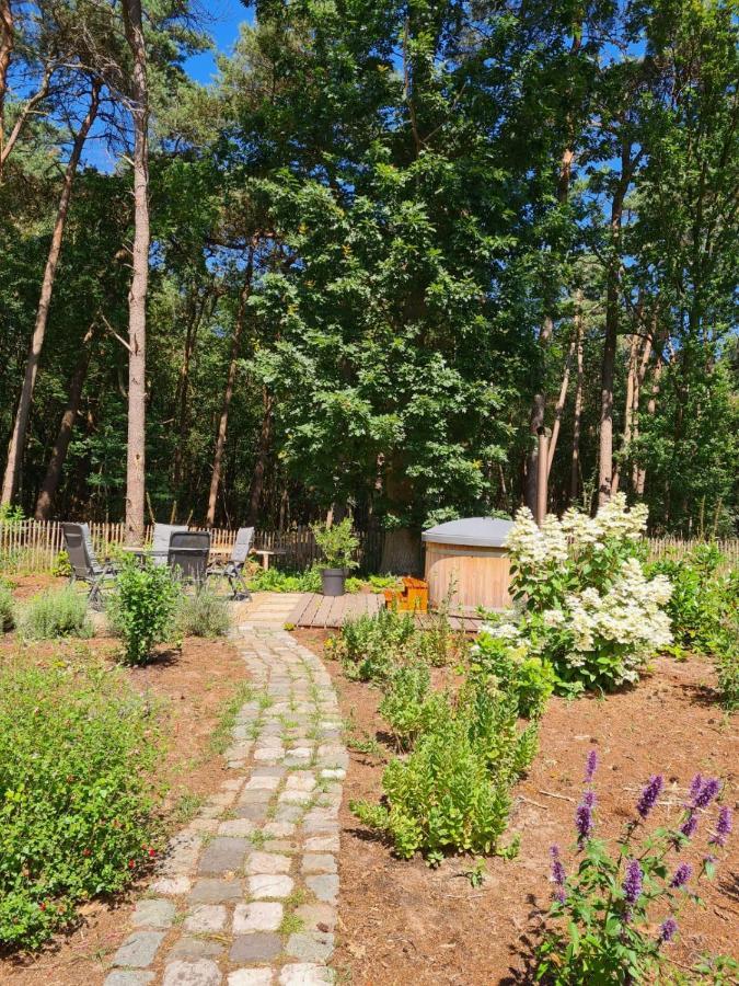 Vakantiehuis Met Hottub En Barrelsauna Ommen Luaran gambar